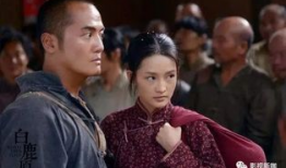 沧海一粟电视剧,波澜壮阔的抗战岁月