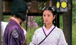 美人心计电视剧,宫廷权谋与爱恨情仇的纠葛